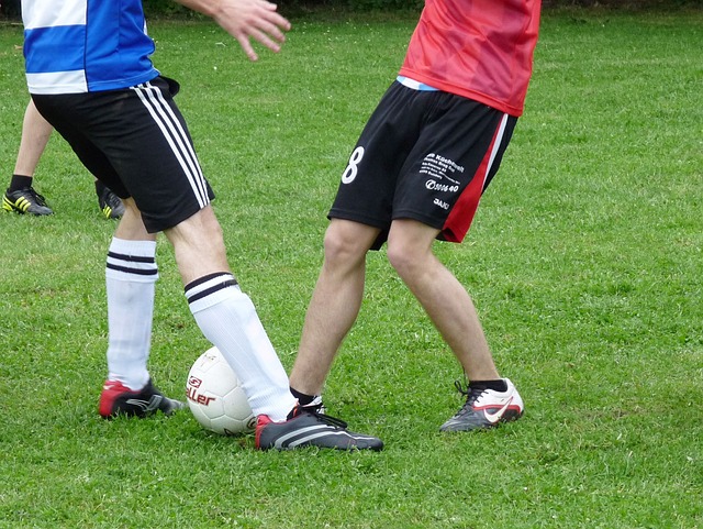 提供了一种 提供了一种