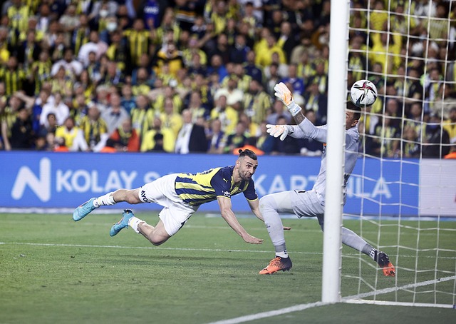 同时也将成 同时也将成